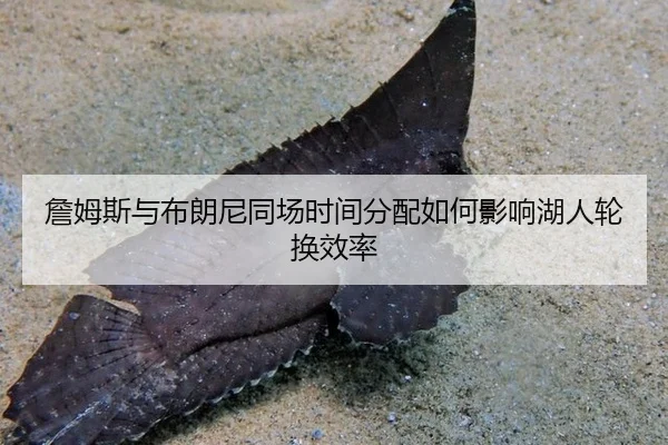 zhan-mu-si-yu-bu-lang-ni-tong-chang-shi-jian-fen-pei-ru-he-ying-xiang-hu-ren-lun-huan-xiao-lv-2-611.jpg
